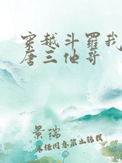 穿越斗罗我成了唐三他哥
