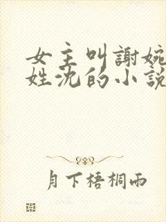 女主叫谢婉男主姓沈的小说