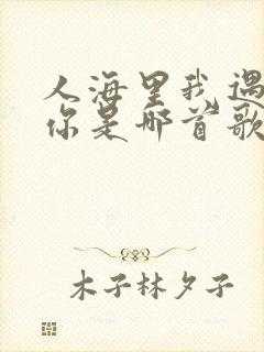 人海里我遇见了你是哪首歌的歌词