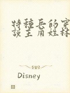 特种兵的穿越小说主角姓林