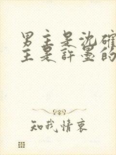 男主是沈确,女主是许墨的小说