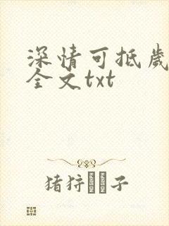 深情可抵岁月长全文txt