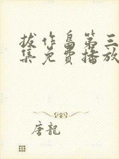 拔作岛第三季全集免费播放在线观看