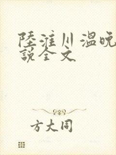 陆淮川温晚柠小说全文