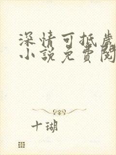 深情可抵岁月长小说免费阅读