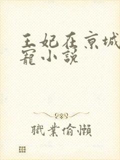 王妃在京城当团宠小说