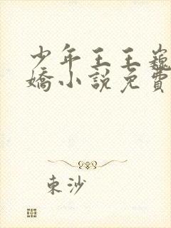 少年王王巍李娇娇小说免费全集