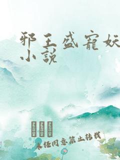 邪王盛宠妖孽妃小说