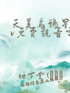 天美乌鸦星空mv免费观看电视剧最新一