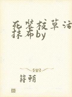 死装校草活该被抹布by