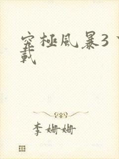 究极风暴3 下载