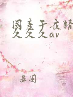 国产午夜精品久久久久av