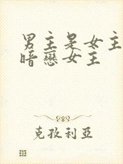 男主是女主保镖暗恋女主