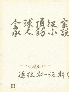 全球顶级家族继承人的小说