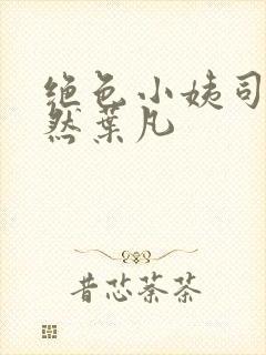 绝色小姨司空嫣然叶凡