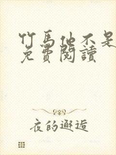 竹马他不是直的免费阅读