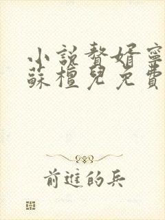 小说赘婿宁毅/苏檀儿免费阅读