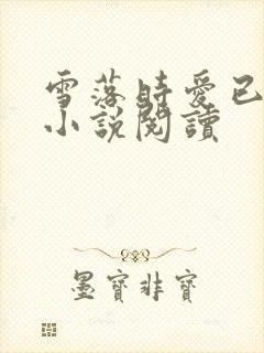 雪落时爱已落幕小说阅读