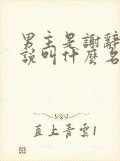 男主是谢辞的小说叫什么名字