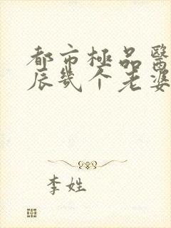 都市极品医神叶辰几个老婆