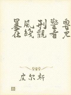 暴风刑警粤语版在线观看免费