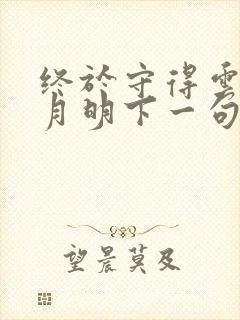 终于守得云开见月明下一句