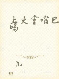 上火会嘴巴长泡吗