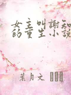 女主叫谢知楚淮的重生小说