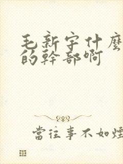 毛新宇什么级别的干部啊