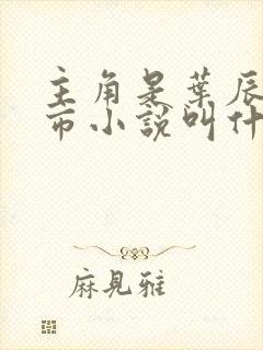 主角是叶辰的都市小说叫什么