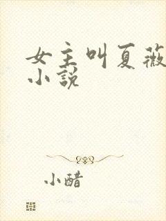 女主叫夏薇薇的小说