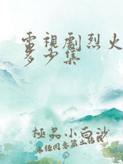 电视剧烈火一共多少集