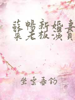 苏畅新婚妻子与菜老板演员表介绍