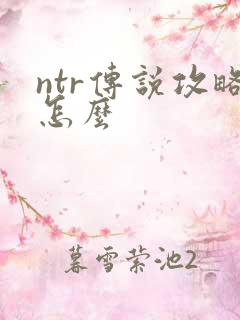 ntr传说攻略怎么
