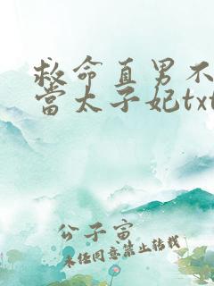 救命直男不可以当太子妃txt