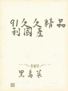 91久久精品福利国产