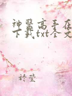 神医高手在都市下载txt全文