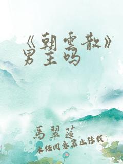 《朝云散》是双男主吗