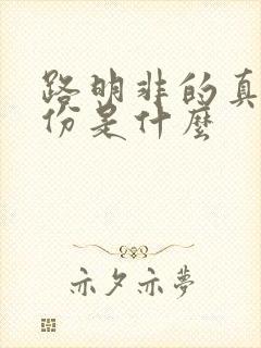 路明非的真实身份是什么