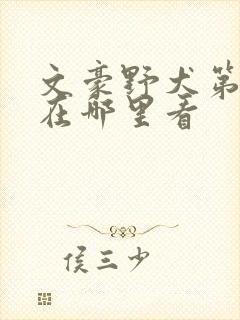 文豪野犬第四季在哪里看