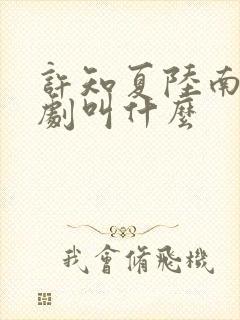 许知夏陆南风短剧叫什么