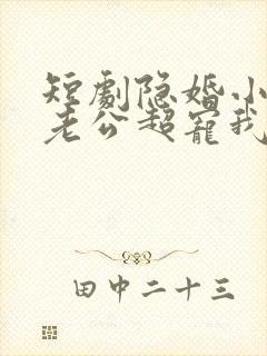 短剧隐婚小十岁老公超宠我免费观看全集