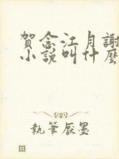 贺念江月谢泊年小说叫什么名字