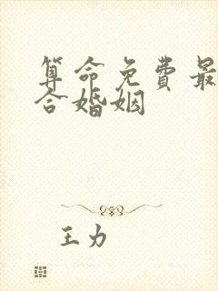 算命免费最准的合婚姻