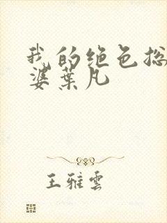 我的绝色总裁老婆叶凡