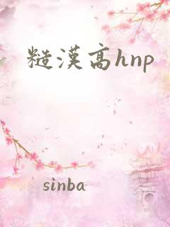 糙汉高hnp