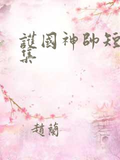 护国神帅短剧全集
