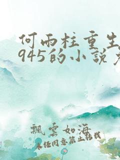 何雨柱重生到1945的小说免费阅读