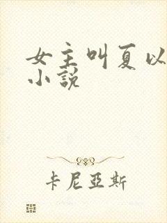 女主叫夏以荨的小说