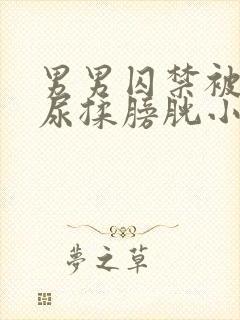 男男囚禁被迫憋尿揉膀胱小说